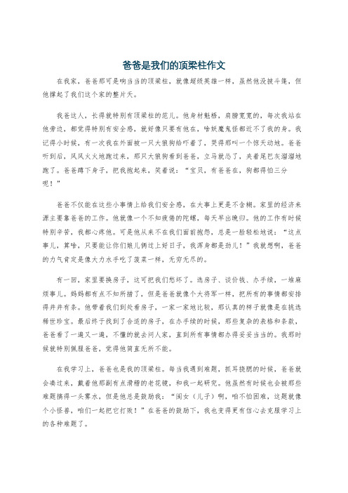 爸爸是我们的顶梁柱作文