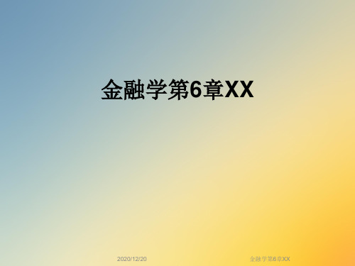 金融学第6章XX