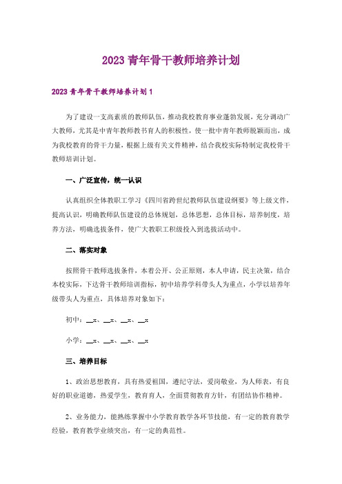 2023青年骨干教师培养计划