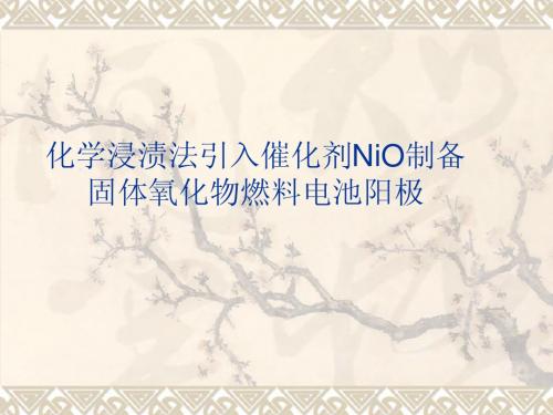 化学浸渍法引入催化剂NiO制备阳极