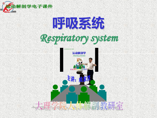 10、运动解剖学-呼吸系统