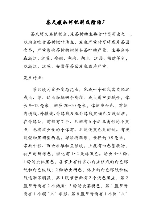 茶尺蠖如何识别及防治?