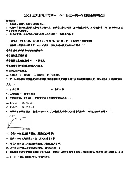 2025届湖北宜昌市第一中学生物高一第一学期期末统考试题含解析