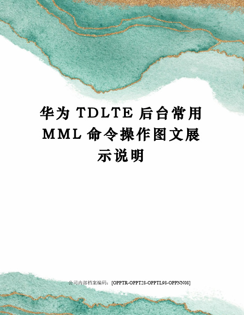 华为TDLTE后台常用MML命令操作图文展示说明