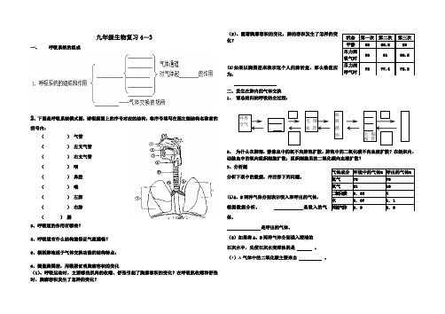 九年级生物复习4