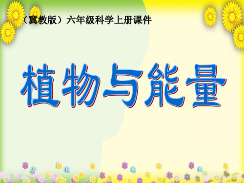 (冀教版)小学科学六上册《植物与能量》PPT课件(同课异构)