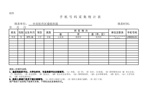 手机号码采集统计表样表