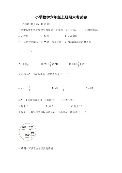 小学数学六年级上册期末考试卷含完整答案(夺冠)