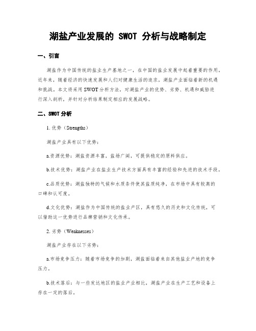 湖盐产业发展的 SWOT 分析与战略制定