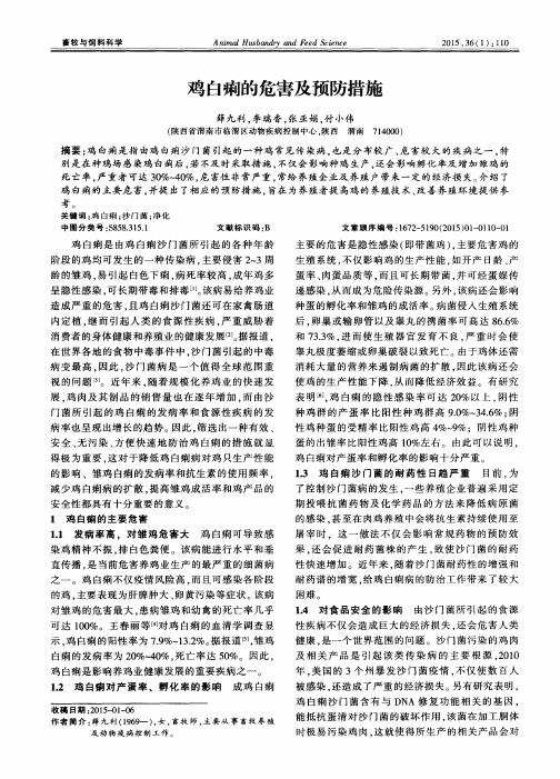 鸡白痢的危害及预防措施