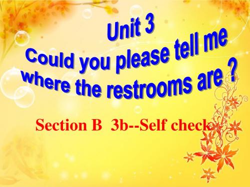 人教新目标九年级英语全册《Unit 3   Section B 3b--selfcheck》