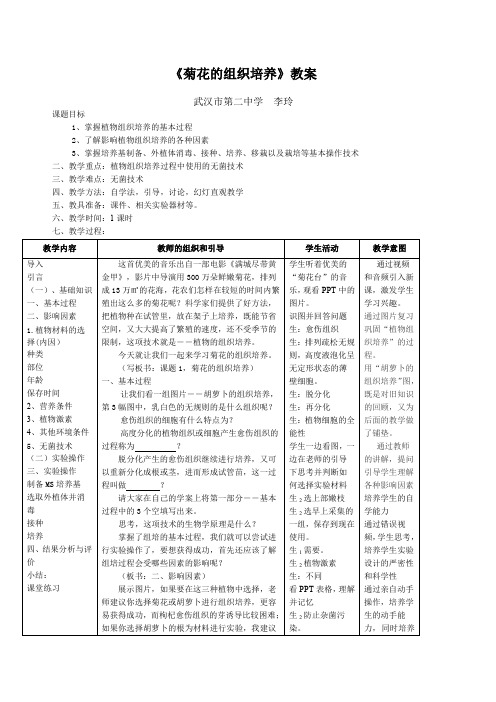 菊花的组织培养教案课程(优质课)