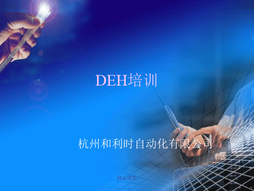 演示课件DEH培训(完全).ppt