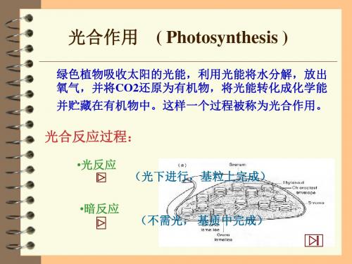 植物生理学  呼吸作用