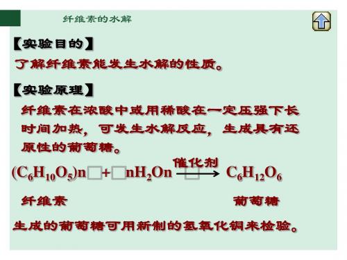 纤维素的水解