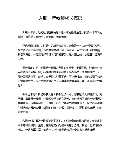 入职一年教师成长感悟