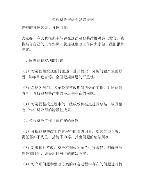 巡视整改推进会发言提纲