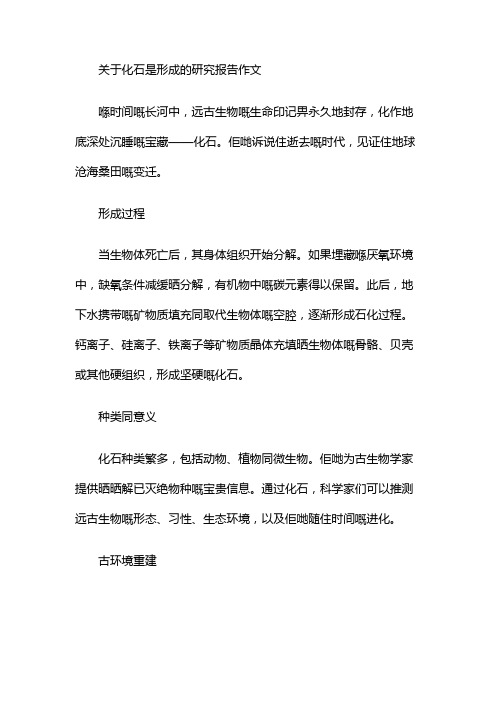 关于化石是形成的研究报告作文