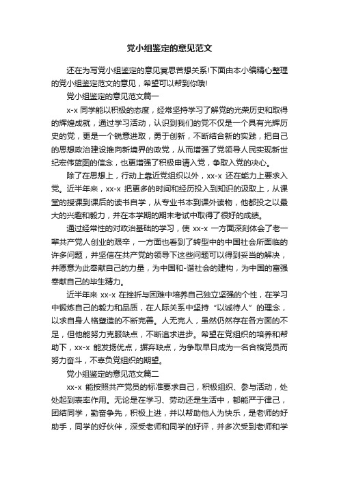 党小组鉴定的意见范文