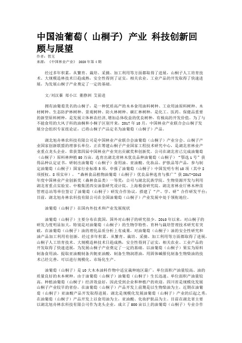 中国油葡萄( 山桐子) 产业 科技创新回顾与展望