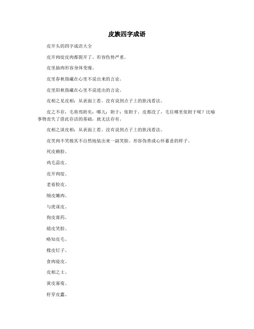 皮族四字成语