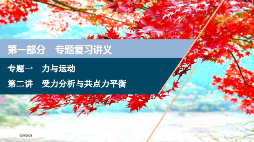 高考物理二轮复习专题一第二讲受力分析与共点力平衡课件