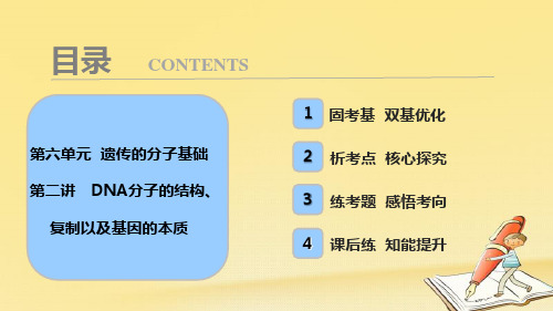 2018版高考生物一轮复习课件：第六单元 第二讲 DNA分子的结构、复制以及基因的本质