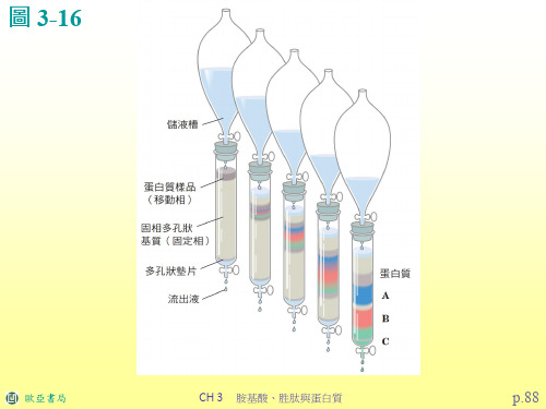 在阳离子交换管柱层析法