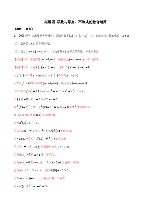 导数与零点、不等式的综合运用(精练)(解析版)