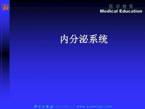 内分泌系统解剖生理