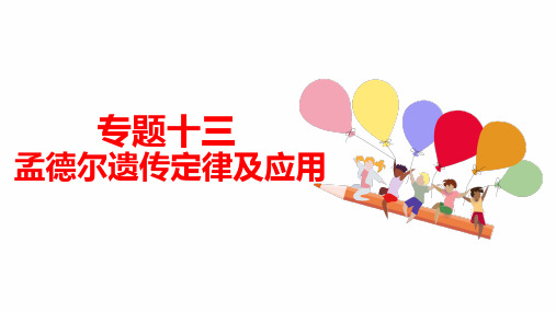 专题十三 孟德尔遗传定律及应用-2024年高考生物二轮复习热点专题专项突破