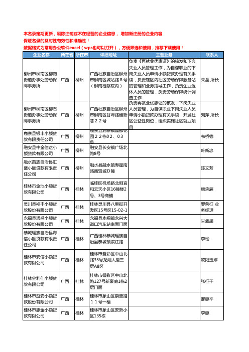 2020新版广西省小额贷款工商企业公司名录名单黄页联系方式大全118家