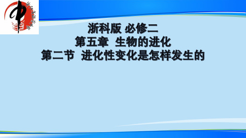 浙科版高中生物必修二第五章 第二节 进化性变化是怎样发生的 (2)(共15张PPT)