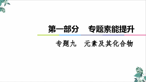 [优选]新高考化学全国通用二轮复习元素及其化合物课件