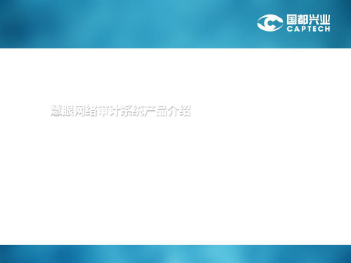 慧眼网络审计系统产品介绍(ppt 32页)