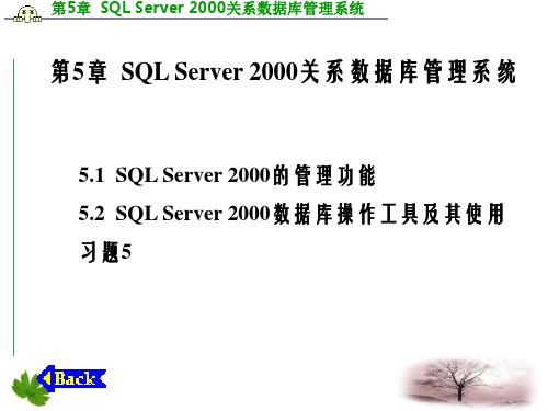 数据库技术及应用第5章sqlserver2000关系数据库管理系统