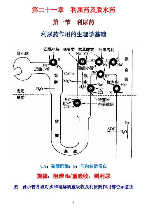 第二十一章利尿药及脱水药