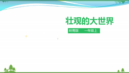 岭南版 美术 一年级上册 第二课 壮观的大世界