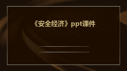 《安全经济》课件