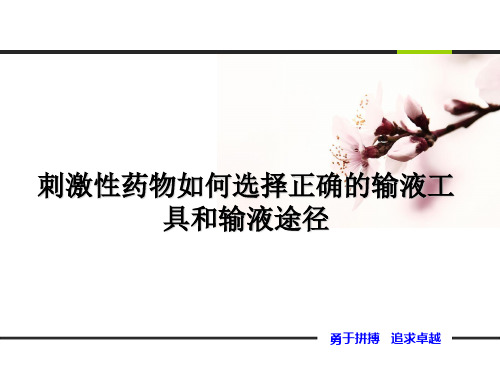 血管刺激性药物的静脉途径及工具的选择