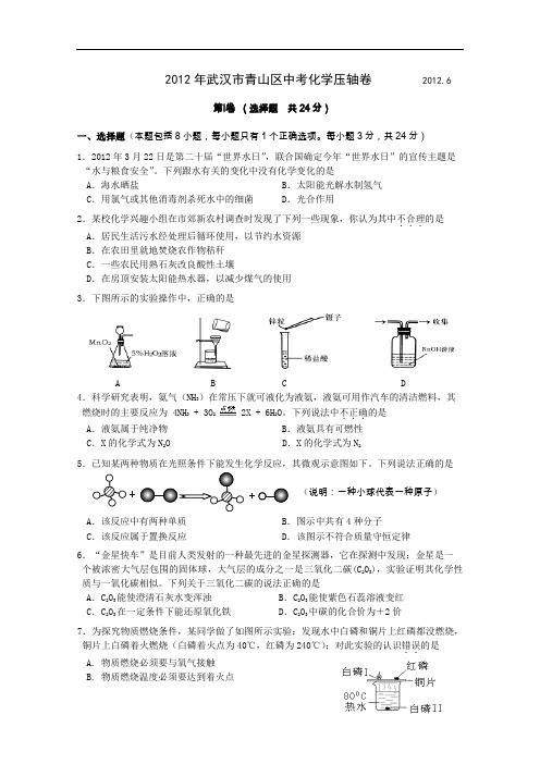 [初中化学]2012年湖北省武汉市青山区中考化学压轴卷 人教版