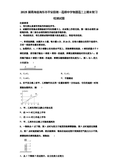 2025届青海省海东市平安县第一高级中学物理高三上期末复习检测试题含解析