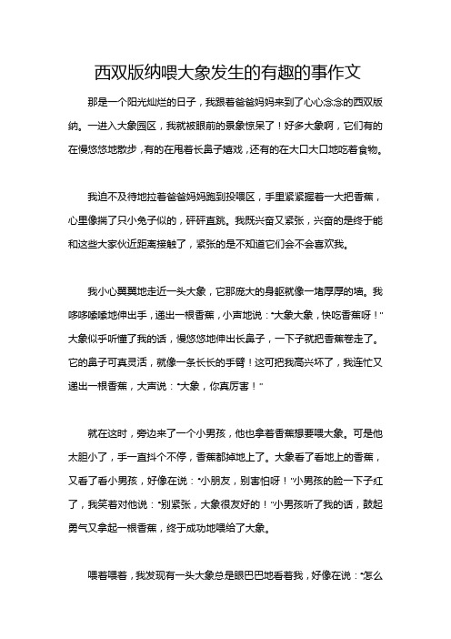 西双版纳喂大象发生的有趣的事作文