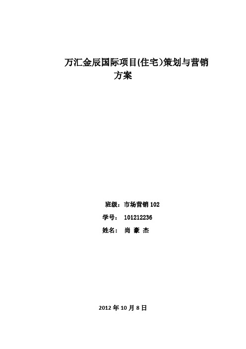 金辰国际项目策划与营销方案