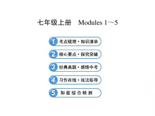 外研版七年级上册Modules1-5英语复习课件(共56张PPT)