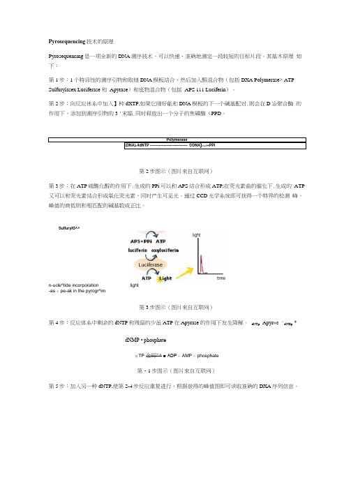 焦磷酸测序技术的原理