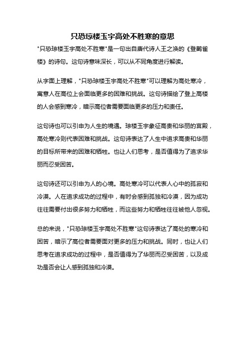 只恐琼楼玉宇高处不胜寒的意思