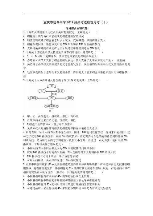 重庆市巴蜀中学2019届高考适应性月考(十)(本校三诊考试)理科综合生物试题word版本含答案