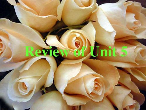 Review of Unit 5