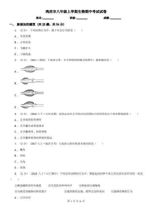 鸡西市八年级上学期生物期中考试试卷